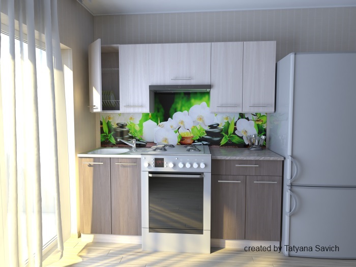 Мила ДСП 1.2 с газовкой