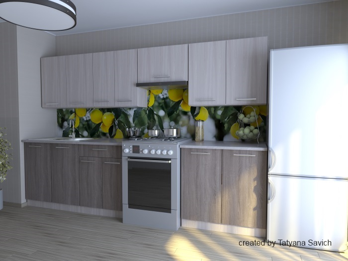 Мила ДСП 2.2 с газовкой