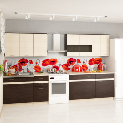 Виолетта 2,6 ДСП со вставкой 